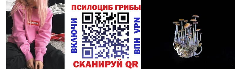 Псилоцибиновые грибы прущие грибы  цена наркотик  Зеленокумск 