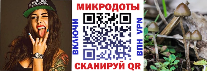 Галлюциногенные грибы GOLDEN TEACHER Зеленокумск